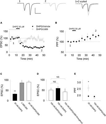 Selective Recruitment of Presynaptic and Postsynaptic Forms of mGluR-LTD